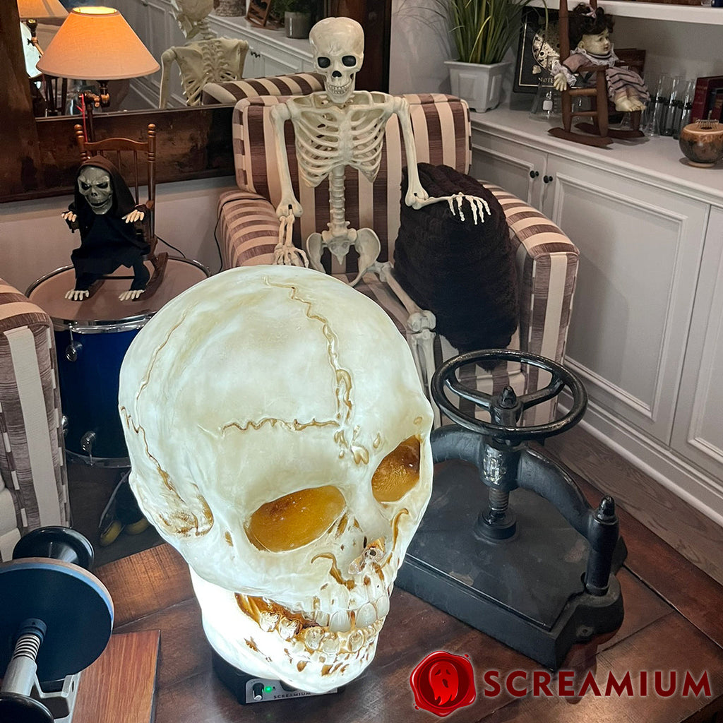 Spooky 20" Giant Skull Animatronic Lamp Prop