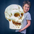 Spooky 20" Giant Skull Animatronic Lamp Prop