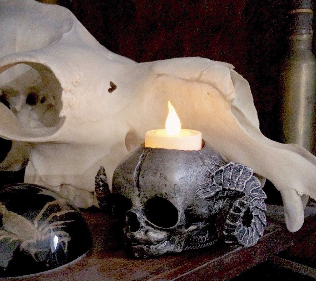 Spooky Satyr Fetal Skull Candle Holder