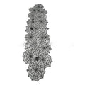 Spooky Spiderweb Black Lace Scarf & Runner Set